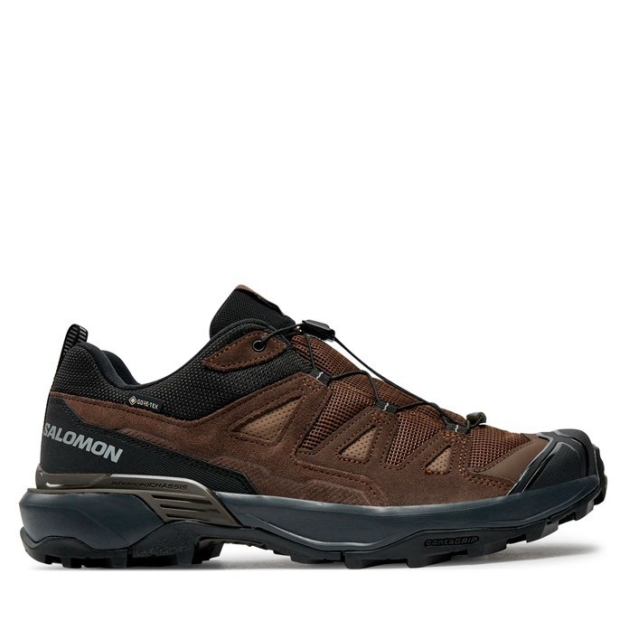 Кроссовки Salomon X Ultra 360 Leather Gore-Tex Dark Earth/Delicioso/Sharkskin