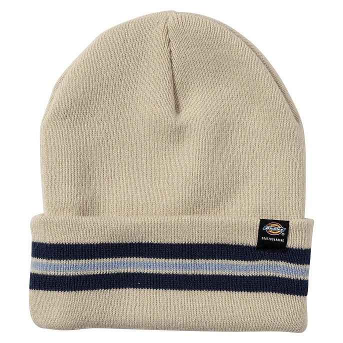 Шапка Dickies Skateboarding Tom Knox Beanie TK Fog